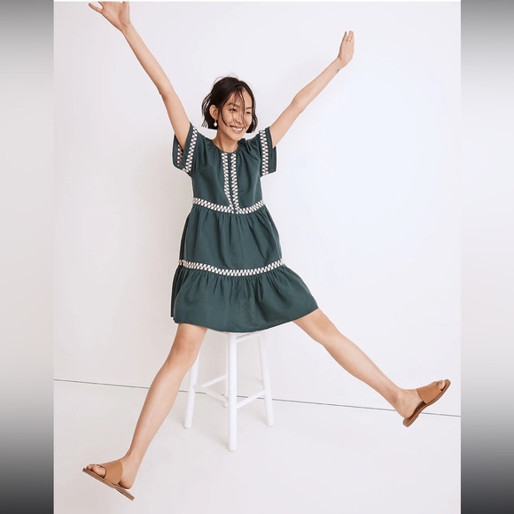 Embroidered Linen-Blend Flutter-Sleeve Mini Dress - Picture 3 of 9